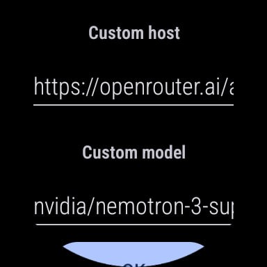 Enter your custom model